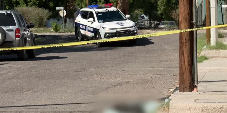 Recolectores de Dátiles Cayeron de Cuatro Metros de Altura en San Luis Río Colorado; Esto Pasó