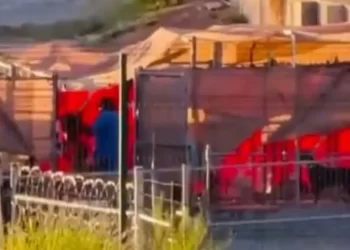 Perros Presuntamente Maltratados en Hotel de Mascotas son Entregados a sus Dueños en Hermosillo