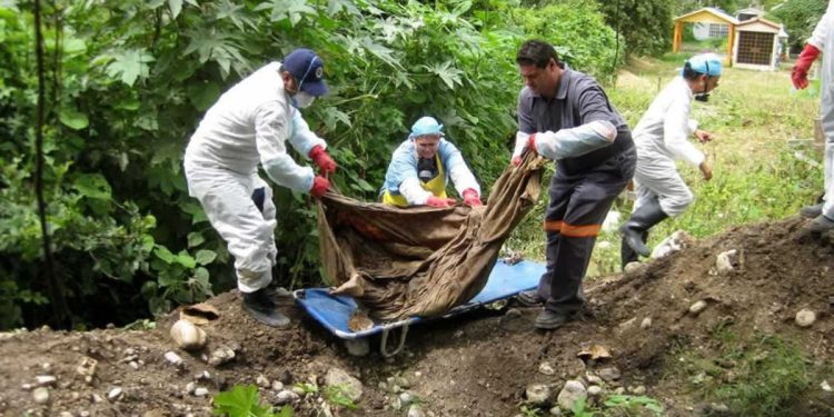 En Sonora, Veracruz y Guerrero hay más fosas; Superan las 3 mil en México