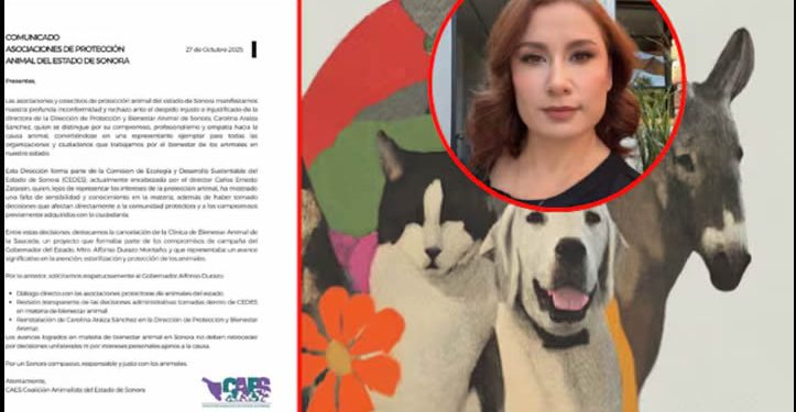 CEDES despide a Directora de Protección y Bienestar Animal; comunidad animalista exige su reinstalación