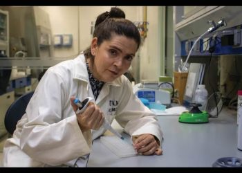 “En México la comunidad científica no es suficientemente grande para lo que requiere el país”: Laura Palomares