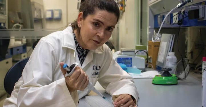 “En México la comunidad científica no es suficientemente grande para lo que requiere el país”: Laura Palomares