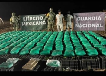 Esconden en cajas de chiles, más de una tonelada de droga en Sonora