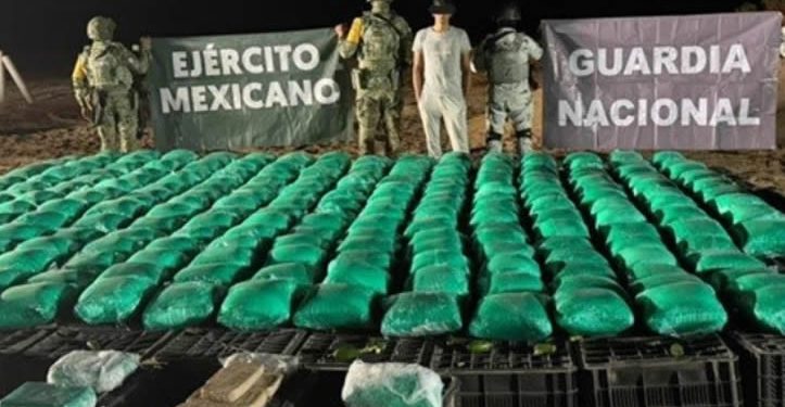 Esconden en cajas de chiles, más de una tonelada de droga en Sonora