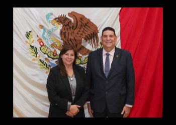 Proponen reforma constitucional y electoral para garantizar inclusión de personas discapacitadas como candidatos en próximas elecciones