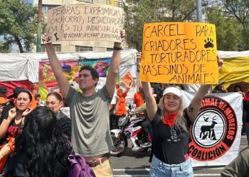 Organizaciones exigen cancelar megaproyecto Saguaro y venta de fauna en Mercado Sonora