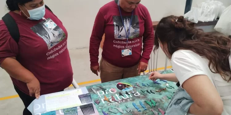 Grupo de Golfo de Santa Clara convierte basura en objetos útiles y promueve conservación de aves