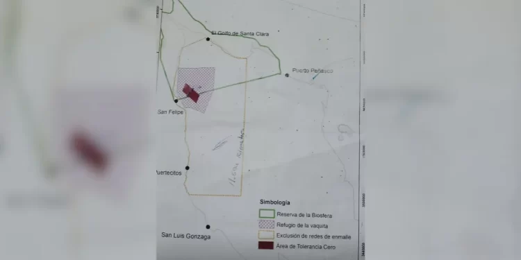 Mantendrán restricción de acceso de pescadores al Alto Golfo