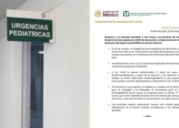 Anuncian investigación tras la muerte de una niña por la picadura de un alacrán en la escuela