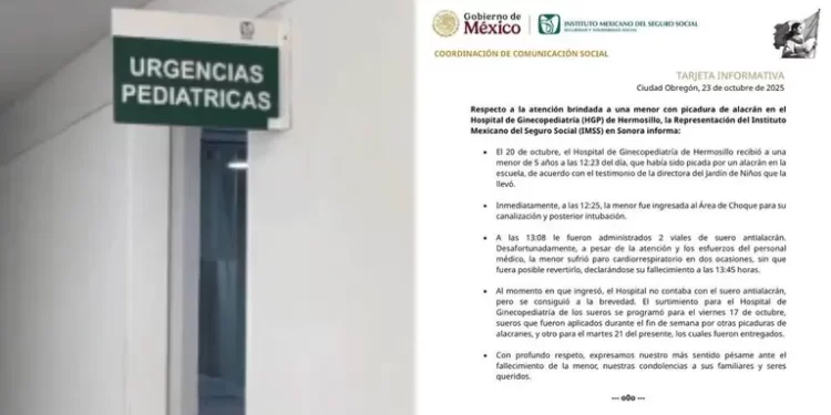 Anuncian investigación tras la muerte de una niña por la picadura de un alacrán en la escuela