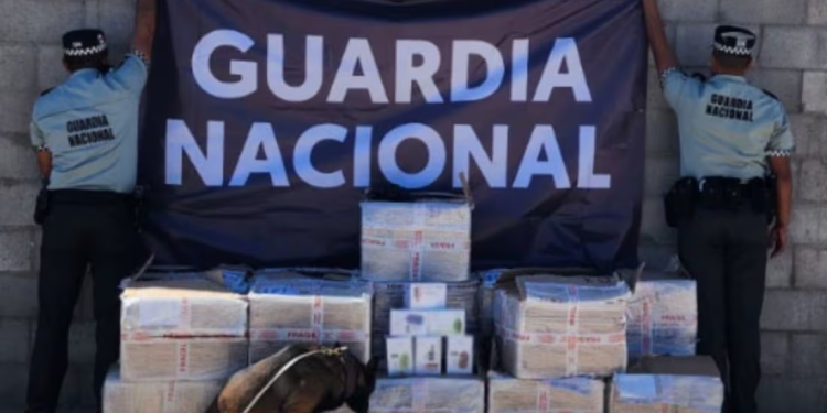 Guardia Nacional asegura más de cinco mil vapeadores con nicotina en el Aeropuerto Internacional de Hermosillo