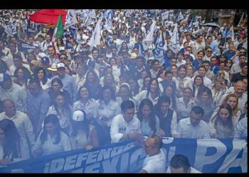 El PAN, en riesgo de perder su registro