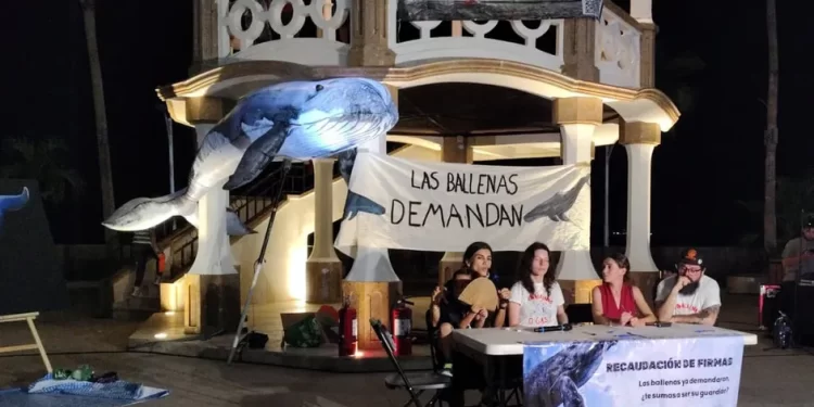 Demandan reconocer a las ballenas como “sujeto de derechos” ante megaproyectos en Golfo de California