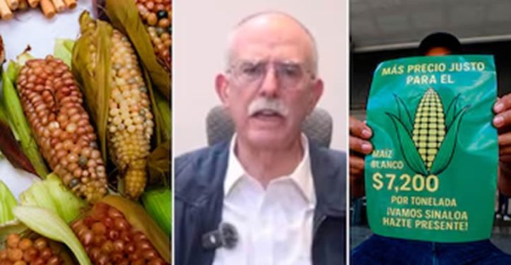 Julio Berdegué anuncia incremento en el costo del maíz blanco tras protestas de agricultores