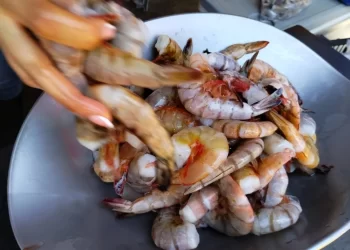 Emigran empacadoras de camarón de Mazatlán a Sonora ante poca producción