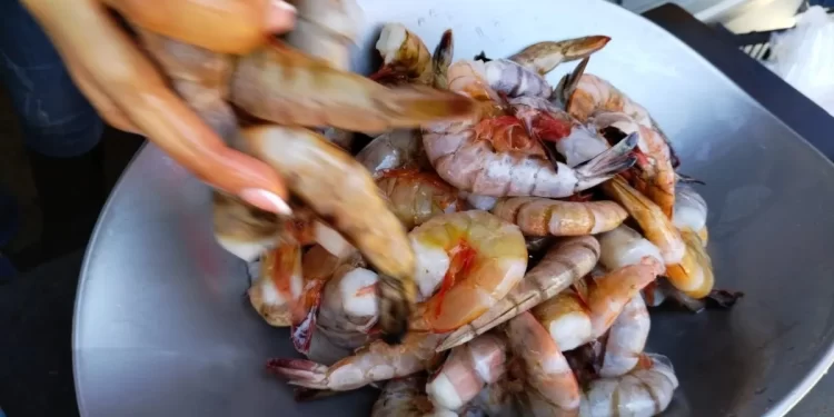 Emigran empacadoras de camarón de Mazatlán a Sonora ante poca producción