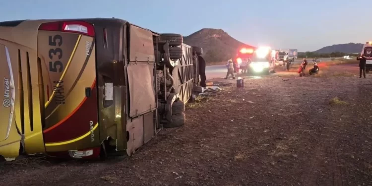 Confirma AMIC captura de chofer auxiliar tras volcar autobús que dejó 7 muertos y 20 heridos en Sonora