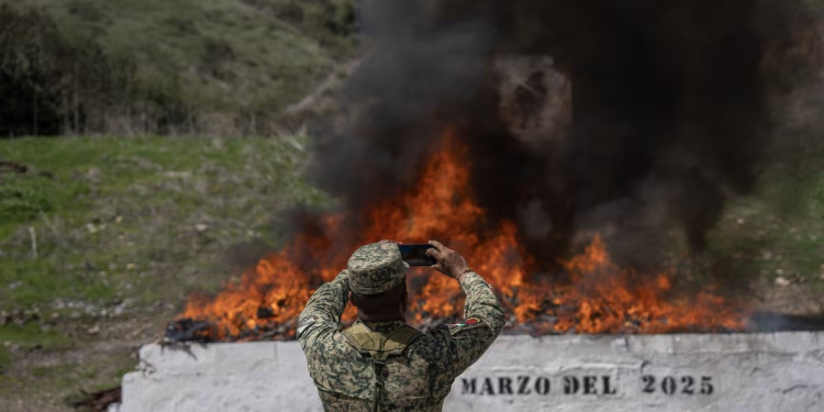 Cambiar una tonelada de cocaína incautada por leche en polvo: una decena de funcionarios pone en llamas a la Fiscalía en México