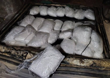 Decomisan más de 5 millones de dosis de droga y detienen a 120 personas en Sonora