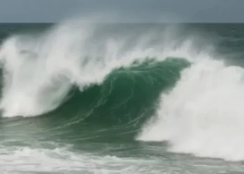 Detienen a 6 Personas en Presunta Portación de 34 Envoltorios de Droga en Hermosillo