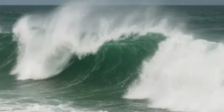 Detienen a 6 Personas en Presunta Portación de 34 Envoltorios de Droga en Hermosillo