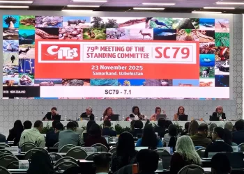 Libra México por un año más sanciones comerciales de CITES por vaquita marina