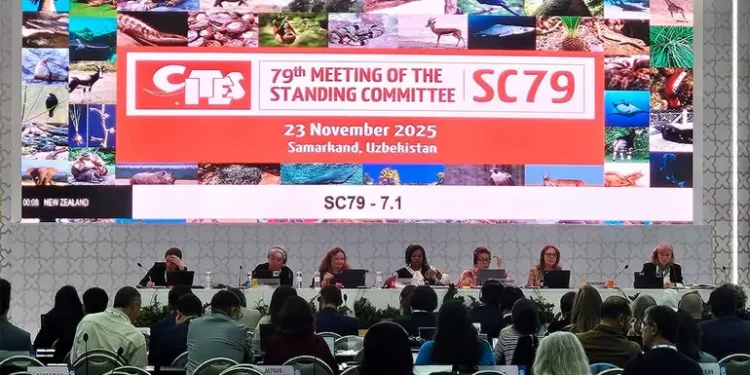 Libra México por un año más sanciones comerciales de CITES por vaquita marina