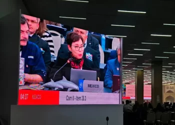 Logra México aval de CITES para modificar polígonos de protección de vaquita marina