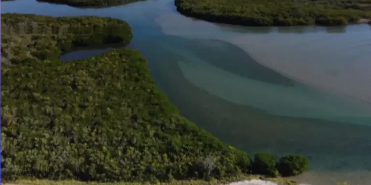 Descubren Restos Óseos Presuntamente Enterrados entre el Año 800 al 1200, en Estero El Soldado