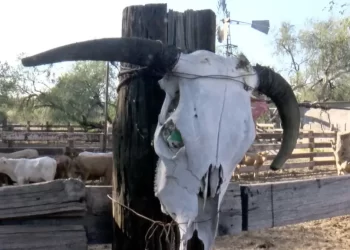 Detienen en Sonora a joven acusado de fraude