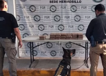 Moviliza Reporte de Víbora de Cascabel en Preescolar a Cuerpos de Emergencia en Hermosillo