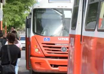 Nuevas Credenciales de Transporte Urbano en Hermosillo; ¿Dónde Debo Tramitarlas y Hasta Cuándo?