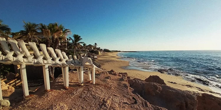 Restaurar ecosistemas es recuperar la esperanza