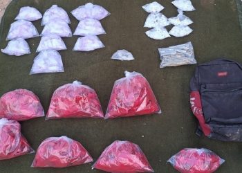 ESPECIAL: Sonora, corredor clave para el tráfico de drogas hacia Estados Unidos