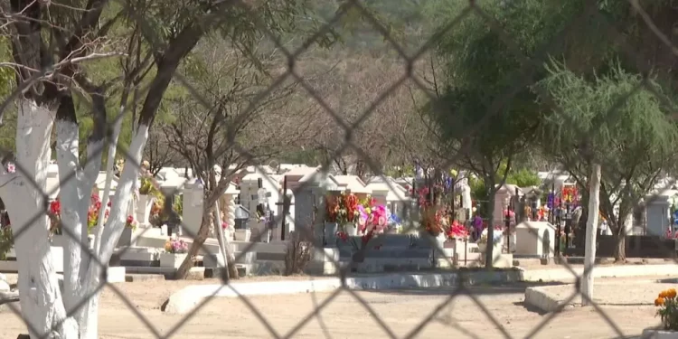 Abejas Atacan a Dos Adolescentes en Panteón Colinas de San José, en Hermosillo