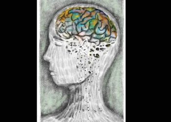 El otoño del cerebro: La caída de las “hojas” neuronales y la clave para una vejez con memoria