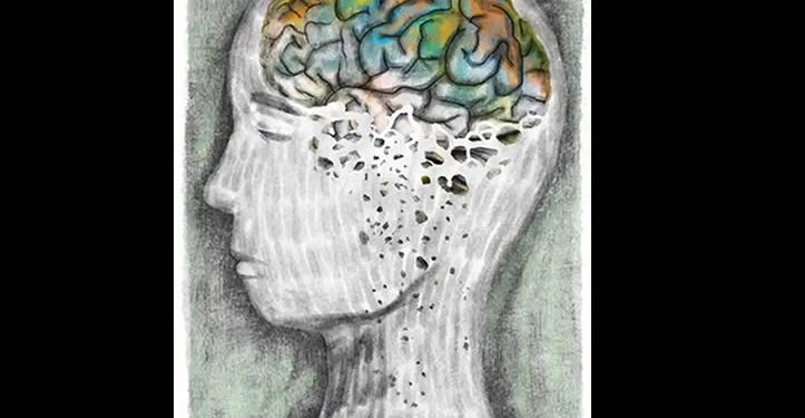 El otoño del cerebro: La caída de las “hojas” neuronales y la clave para una vejez con memoria