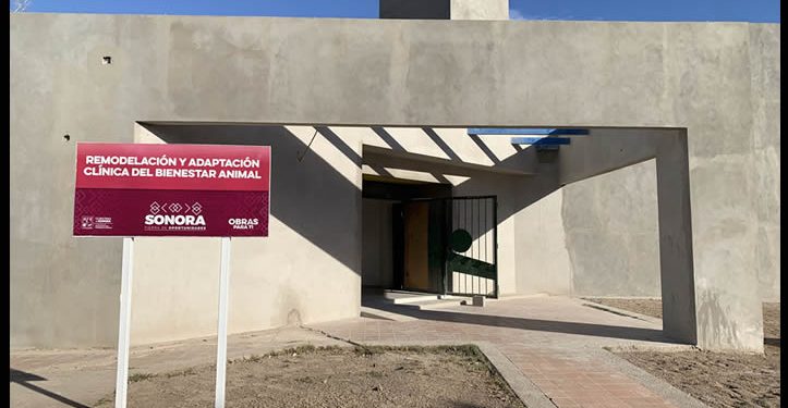 Freno a la Clínica de Bienestar Animal: CEDES veta el proyecto en La Sauceda por riesgo biológico