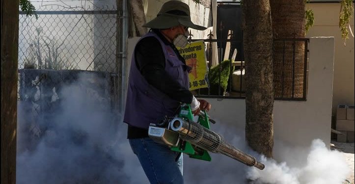 Desmiente Salud decesos por dengue en Sonora