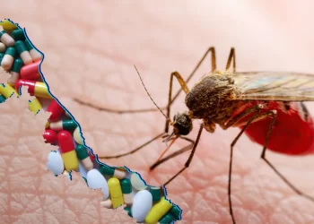 Sonora y Veracruz registran defunciones por dengue en 2025; primero y segundo lugar en registros de casos con la enfermedad