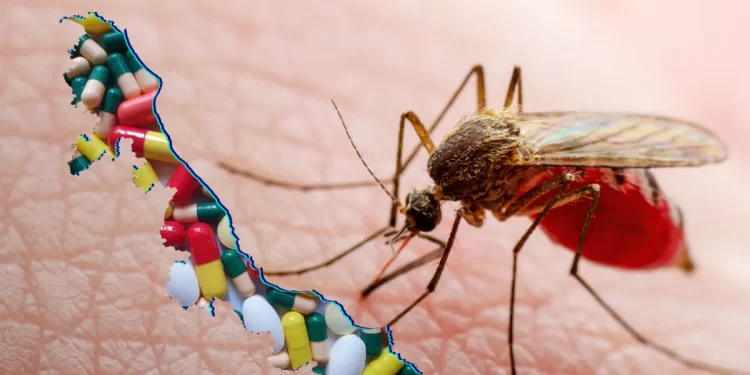 Sonora y Veracruz registran defunciones por dengue en 2025; primero y segundo lugar en registros de casos con la enfermedad