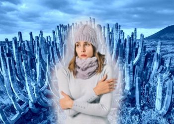 Pronóstico del clima en Sonora: ¿qué tanto frío hará este miércoles 26 de noviembre?