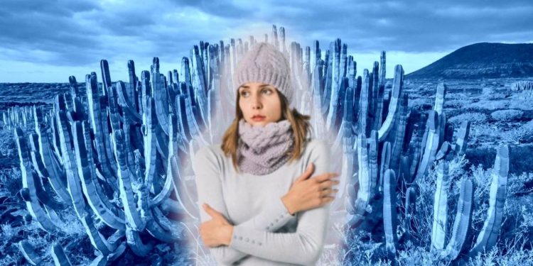 Pronóstico del clima en Sonora: ¿qué tanto frío hará este miércoles 26 de noviembre?