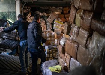 ¿Por qué persiste el crimen organizado en América Latina?