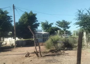 Detenido adulto mayor de 64 años tras asesinar a su pareja en Huatabampo