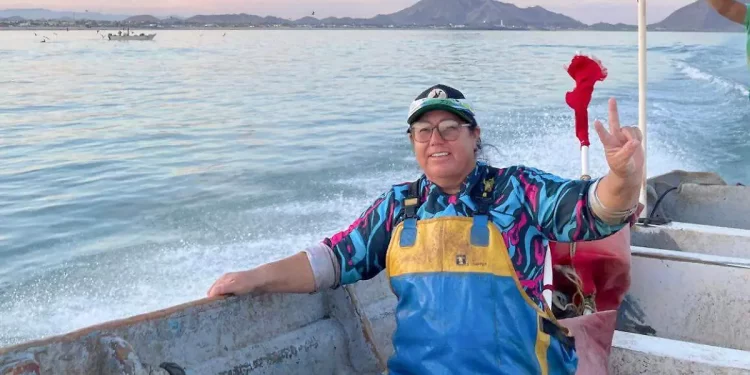 Temen que endurecerán vigilancia por hallazgo de vaquitas marinas 