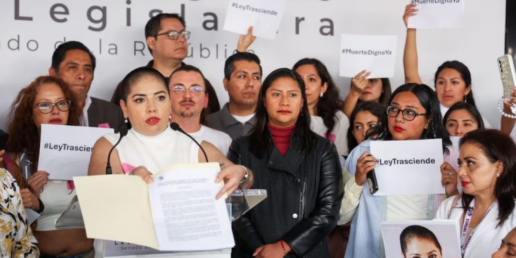 México debe legislar dignidad humana, incluida su muerte: experta en bioética; diputada de Morena va por despenalizar eutanasia