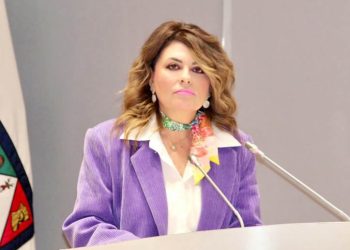 Plantea diputada castigos severos al robo de agua