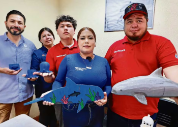 “Cada red que quitamos es una oportunidad para la vaquita”