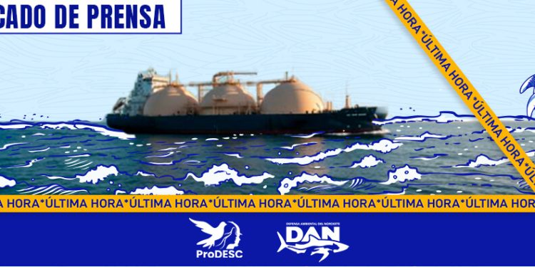 Ante falta de respuesta sobre irregularidades se presentan amparos para exigir protección al Golfo de California frente a megaproyectos de gas fósil